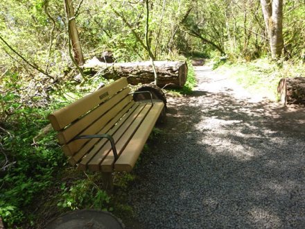 Bench with arm rails - logs to sit on - compacted gravel trail